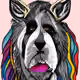 146