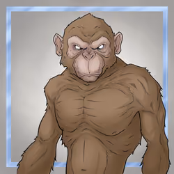 GREAT APES #7379