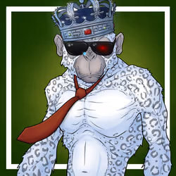 GREAT APES #5798