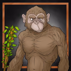 GREAT APES #5695
