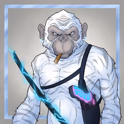 GREAT APES #6923