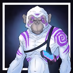 GREAT APES #8649
