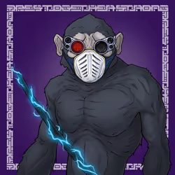 GREAT APES #5957