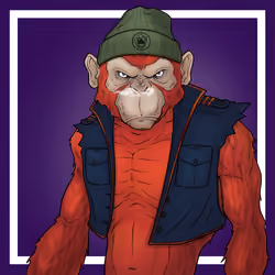GREAT APES #4858