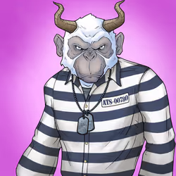 GREAT APES #113