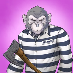 GREAT APES #2834