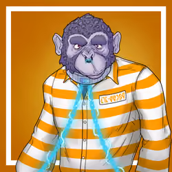 GREAT APES #5929
