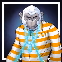 GREAT APES #10269