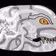 55