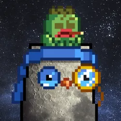 803