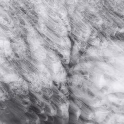 Figments Of Place Nft