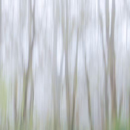 Figments Of Place Nft