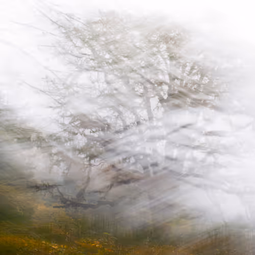 Figments Of Place Nft
