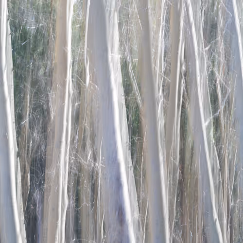 Figments Of Place Nft
