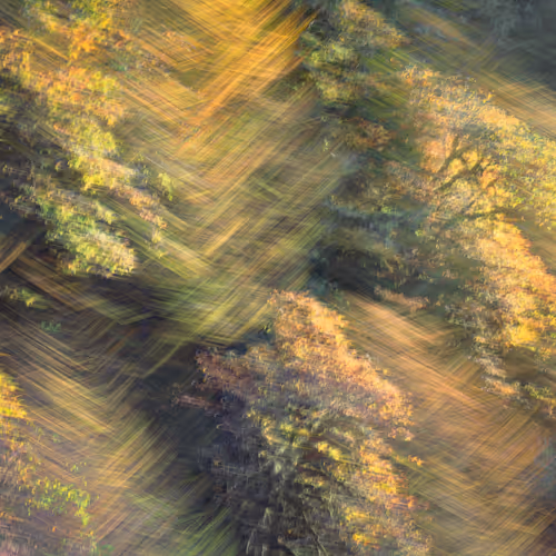 Figments Of Place Nft