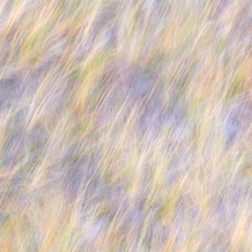 Figments Of Place Nft