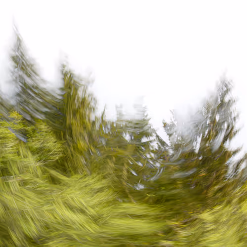 Figments Of Place Nft