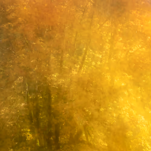 Figments Of Place Nft
