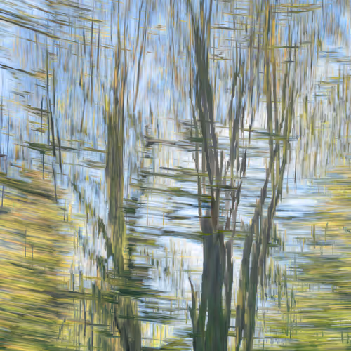 Brushwork