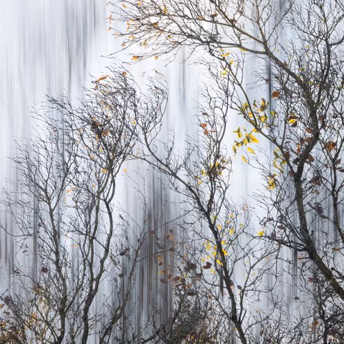 Figments Of Place Nft