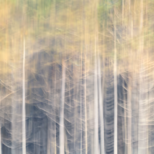 Figments Of Place Nft