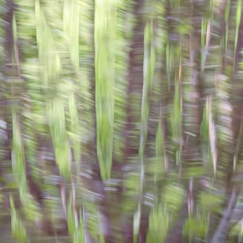Figments Of Place Nft