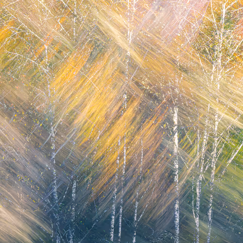 Figments Of Place Nft