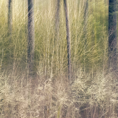 Figments Of Place Nft