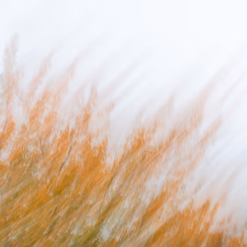 Figments Of Place Nft