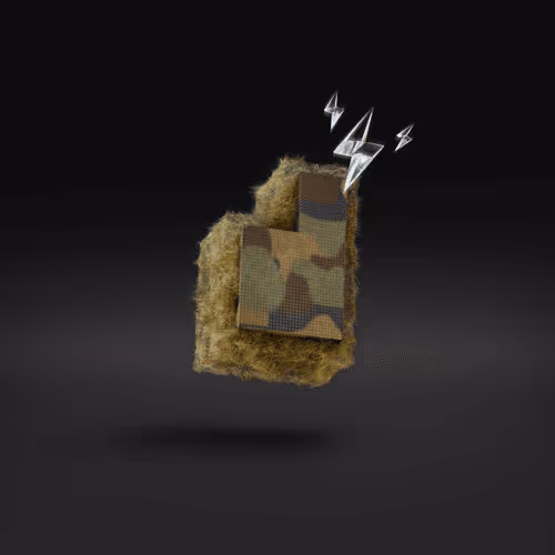 Item #741 Media