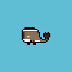 Weird Whales 3299