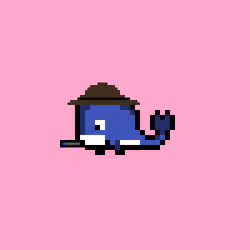Weird Whales 638