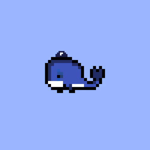 Weird Whales 1504