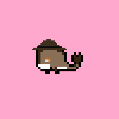 Weird Whales 3053
