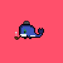 Weird Whales 1609