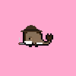 Weird Whales 2075
