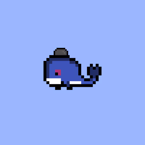 Weird Whales 1647