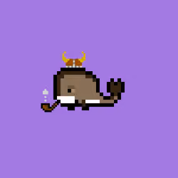 Weird Whales 2906