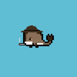 Weird Whales 2517