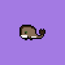 Weird Whales 2308