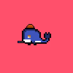 Weird Whales 2210