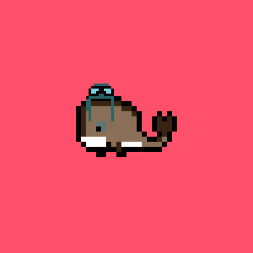 Weird Whales 2481