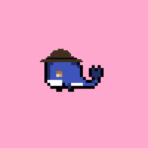 Weird Whales 567