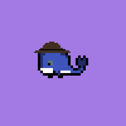 Weird Whales 894