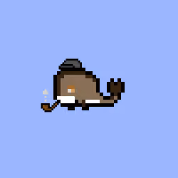 Weird Whales 2681