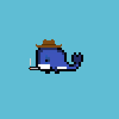 Weird Whales 2300