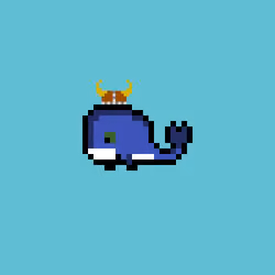 Weird Whales 137
