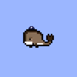 Weird Whales 620