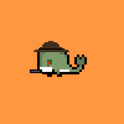 Weird Whales 900