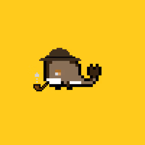 Weird Whales 1143